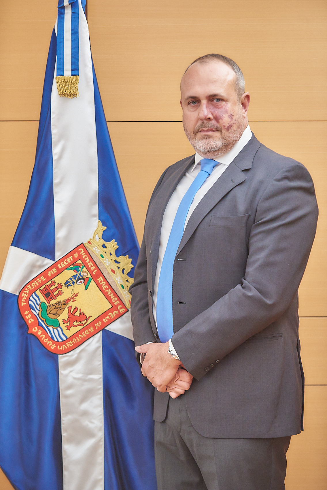 Ilmo. Sr. D. Enrique Arriaga Álvarez